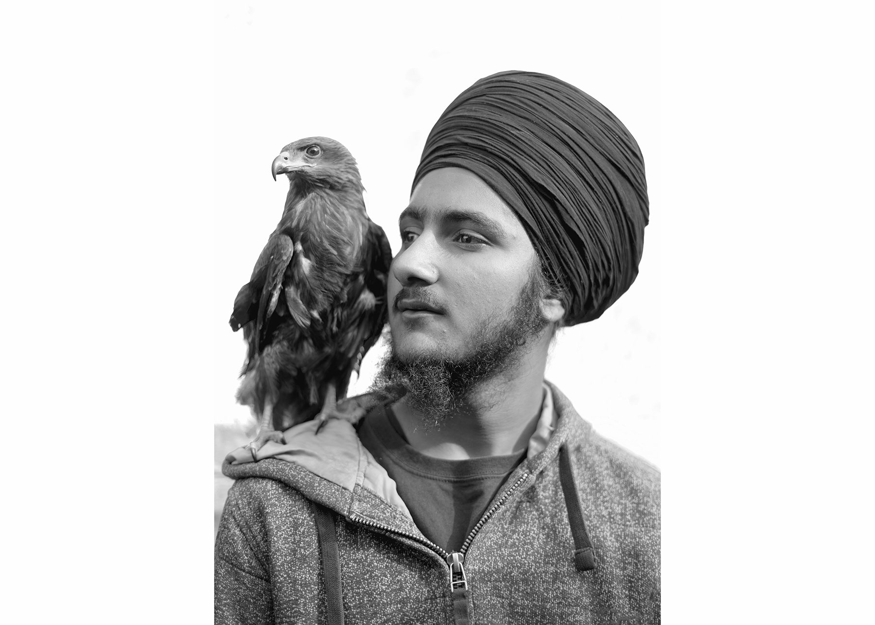 They Tried to Bury Us, They Didn't Know We Were Seeds